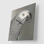 荘厳なアフリカ灰色のオウム スクエア壁時計 (傾斜)