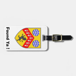 荷物を見パーソナライズされたつけるLaois County IDラベル。 ラゲッジタグ