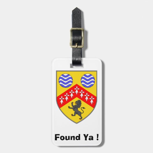 荷物を見パーソナライズされたつけるLaois County IDラベル。 ラゲッジタグ (正面縦)