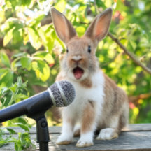 荷物タグの検索簡単