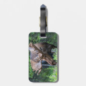 荷物タグを選択 ラゲッジタグ (裏面縦)