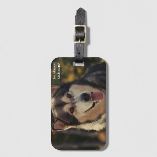 荷物タグ ラゲッジタグ (正面縦)