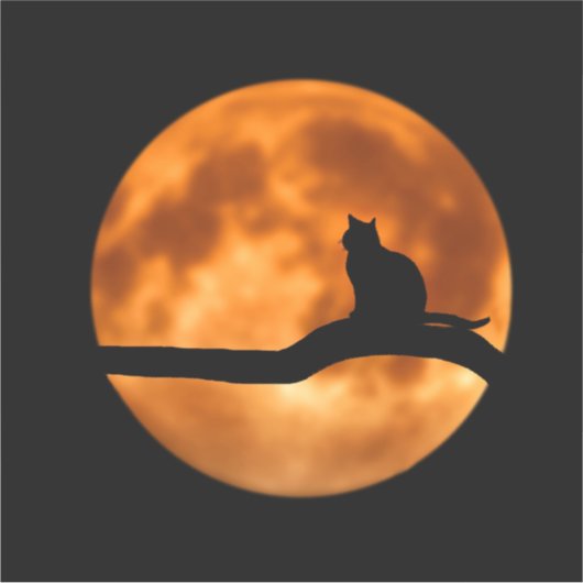 荷物デカール シール (正面)