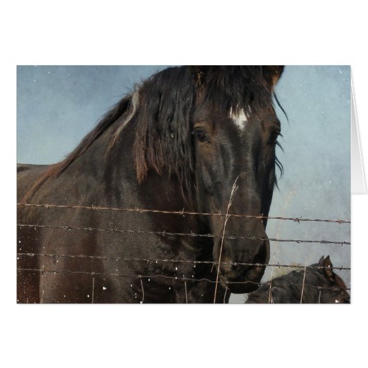 荷車を引く牧草地の馬 (正面横)