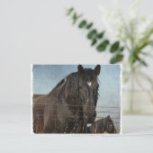 荷車を引く牧草地の馬 ポストカード (スタンド正面)