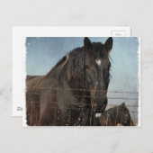荷車を引く牧草地の馬 ポストカード (正面/裏面)