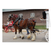 荷車を引く馬の州会 (正面横)