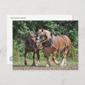 荷車を引く馬葉書 ポストカード (正面/裏面)