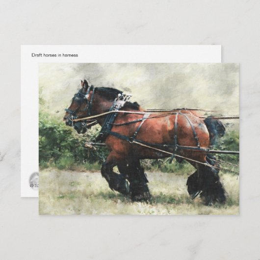 荷車を引く馬葉書 ポストカード (正面/裏面)
