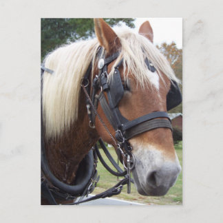 荷車を引く馬 ポストカード