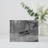 荷馬車の車輪 ポストカード (スタンド正面)