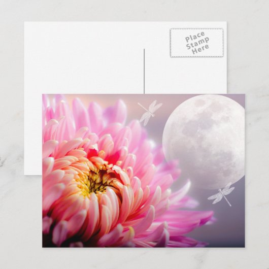 菊と月 ポストカード (正面/裏面)