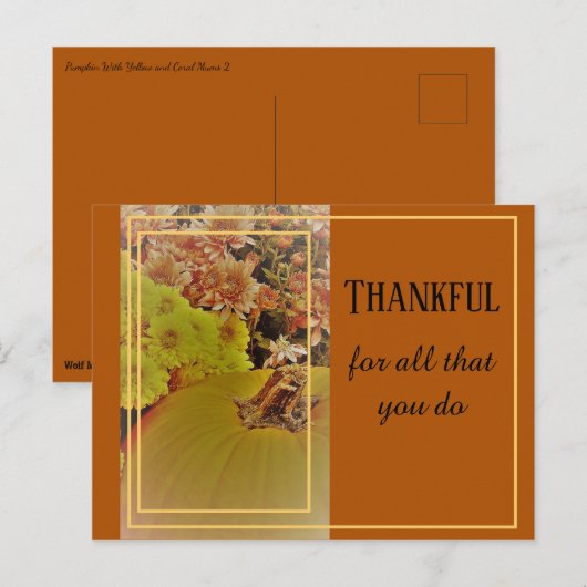 菊のついたポンプキン2/感謝 ポストカード (正面/裏面)