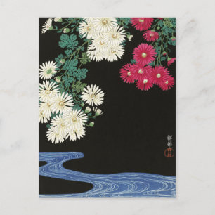 菊のフローラ花の川by大原光尊 ポストカード