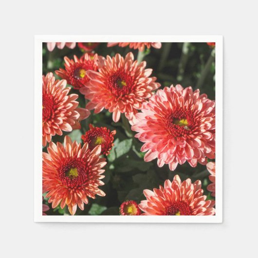 菊の紅花 スタンダードカクテルナプキン (正面)