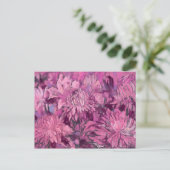菊の花のアブストラクト  花 ピンク マルーン ポストカード (スタンド正面)