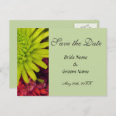 菊の花は日付のポストカードを保存する。 案内ポストカード (正面/裏面)