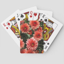 菊の花を閉じる