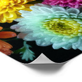 菊の花カラフル飾り ポスター (角)