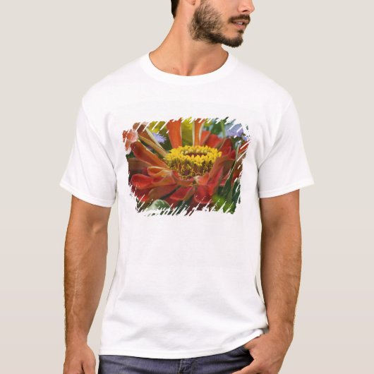 菊の花 Tシャツ (正面)