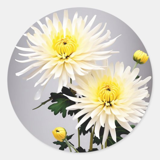 菊はっきりした抽象芸術 ラウンドシール (正面)