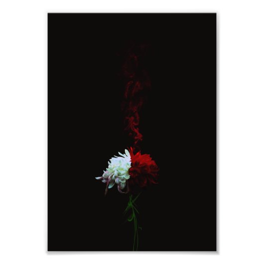 菊一凛-Chrysanthemum- フォトプリント (正面)