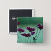 菊及びその意味 缶バッジ (正面&裏面)