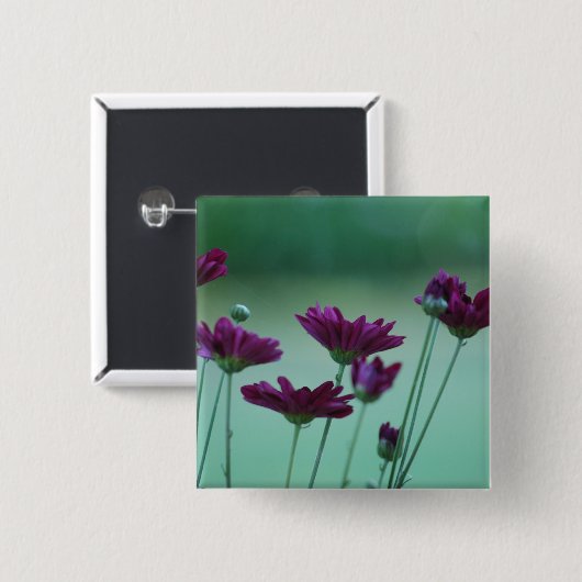 菊及びその意味 缶バッジ (正面&裏面)