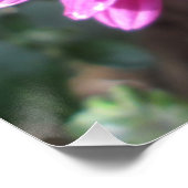 菊濃紅花 ポスター (コーナー)