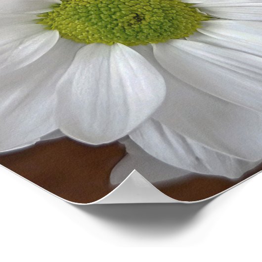 菊花ポスター ポスター (角)