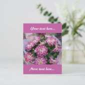 菊花花束ポストカード ポストカード (スタンド正面)