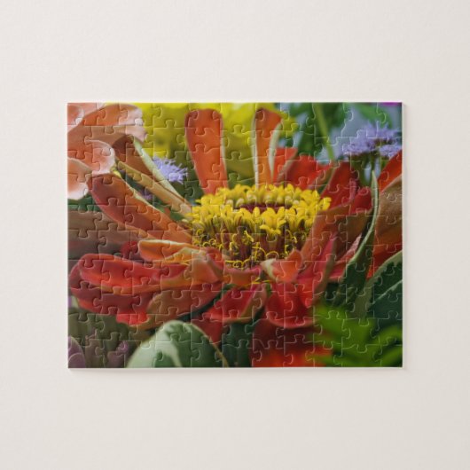 菊花 ジグソーパズル (横)