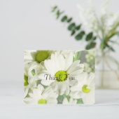 菊花 ポストカード (スタンド正面)