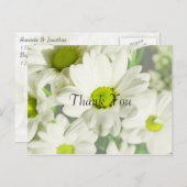 菊花 ポストカード (正面/裏面)