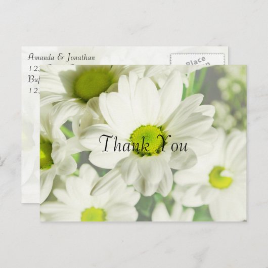 菊花 ポストカード (正面/裏面)