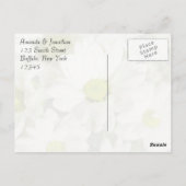 菊花 ポストカード (裏面)