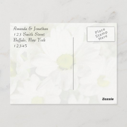 菊花 ポストカード (裏面)