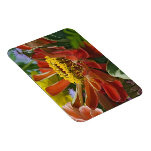 菊花 マグネット (右側)