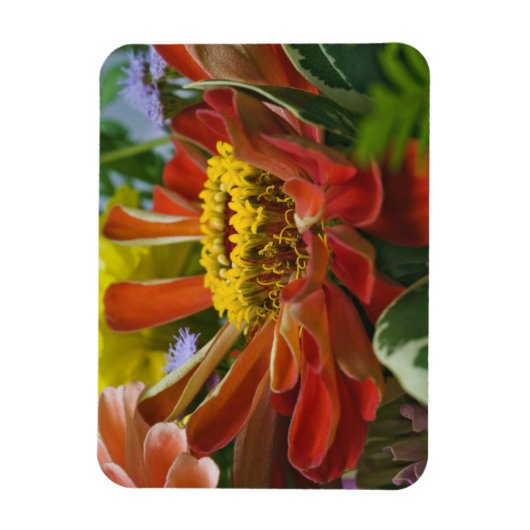 菊花 マグネット (縦)