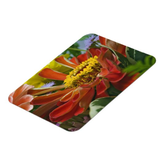 菊花 マグネット (左側)