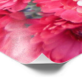 菊花（赤） フォトプリント            (角)