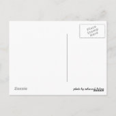 菊葉書 ポストカード (裏面)