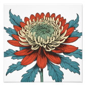 菊鮮やかの花 フォトプリント            (正面)