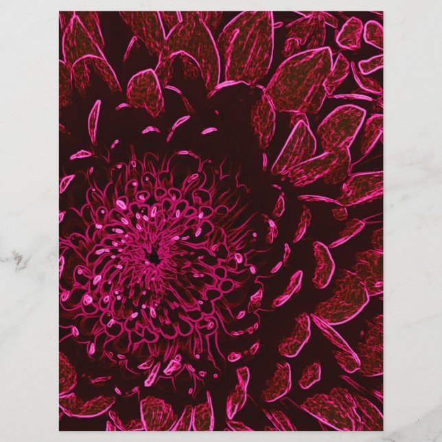 菊 (正面)
