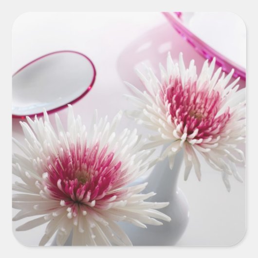 菊 スクエアシール (正面)