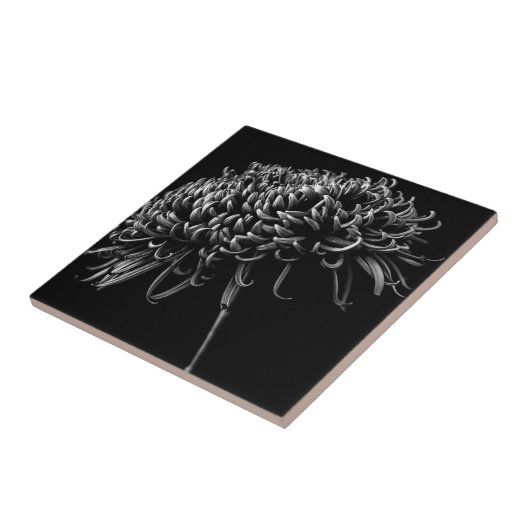 菊 タイル (側面)