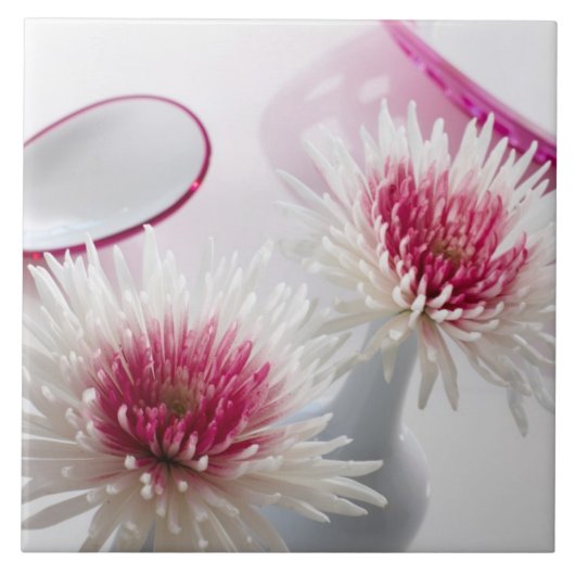 菊 タイル (正面)