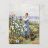 菊 | ダニエル・リッジウェイ・ナイト ポストカード (正面)