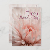 菊 – ハッピーマザーズデーカスタマイズ ポストカード (正面/裏面)