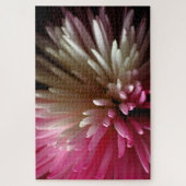 菊(ピンクと白) ジグソーパズル (縦)